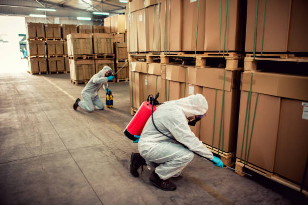 Best Pest Control Near Me in Bangor, ME