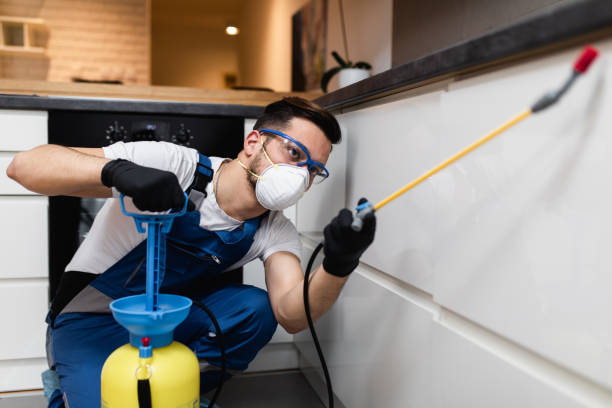 Professional Pest Control in Bangor, ME