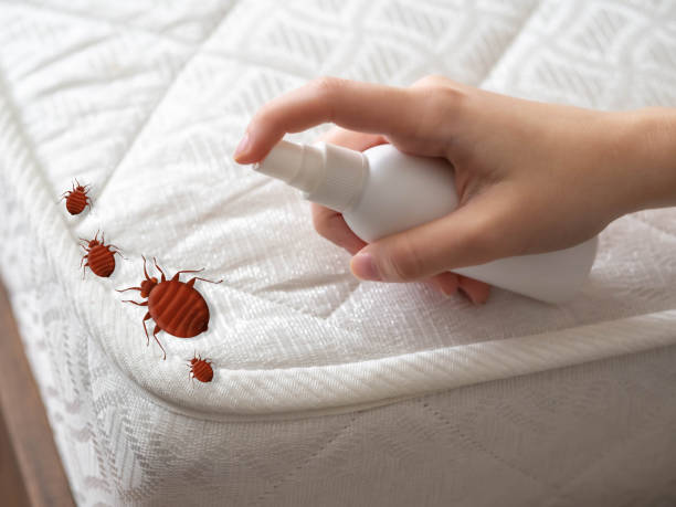 Best Emergency Pest Control  in Bangor, ME