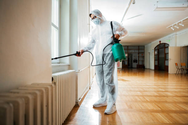 Best Ant Control Services  in Bangor, ME