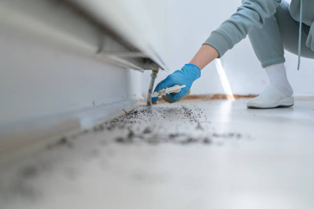 Wildlife Control Services in Bangor, ME
